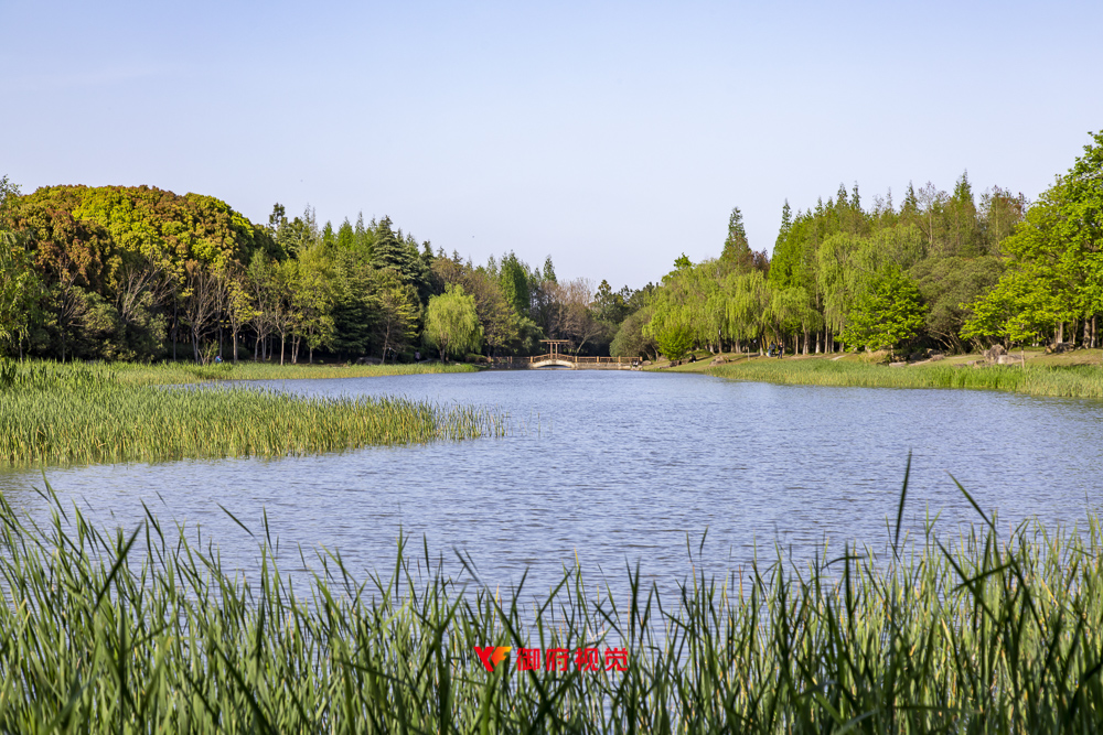 闵行湿地公园,文旅广告,航拍摄影,上海航拍摄影